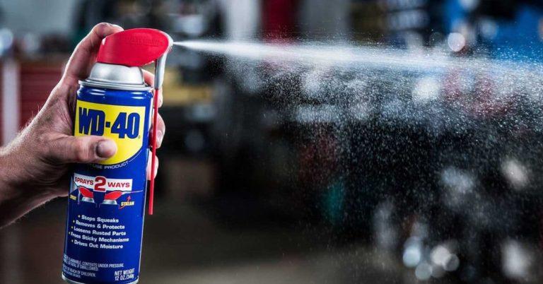How To Clean Bugs Off Car With WD40